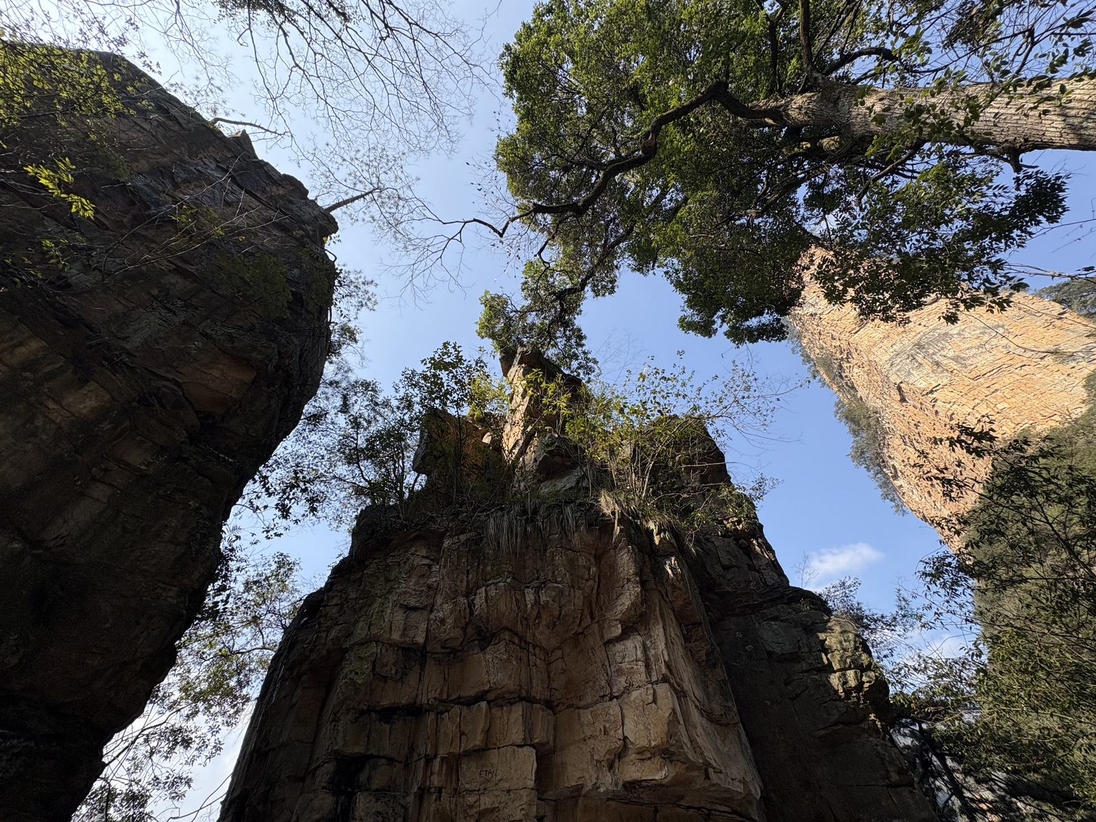 Picture China Zhangjiajie Tianzi Mountrain 2026-01 12 - Trail Tianzi Mountrain