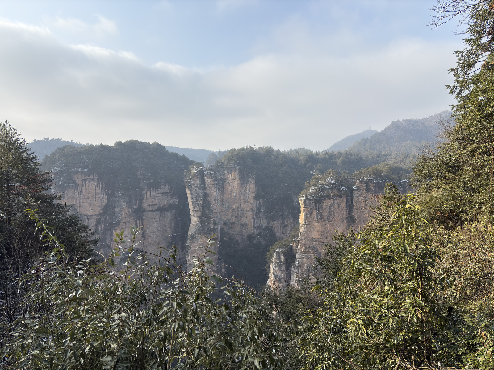Picture China Zhangjiajie 2026-01 276 - Photographers Zhangjiajie