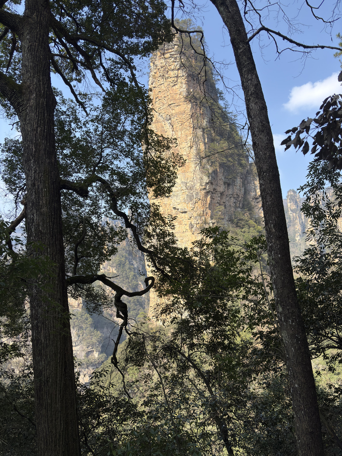 Picture China Zhangjiajie Tianzi Mountrain 2026-01 9 - Randonee Tianzi Mountrain