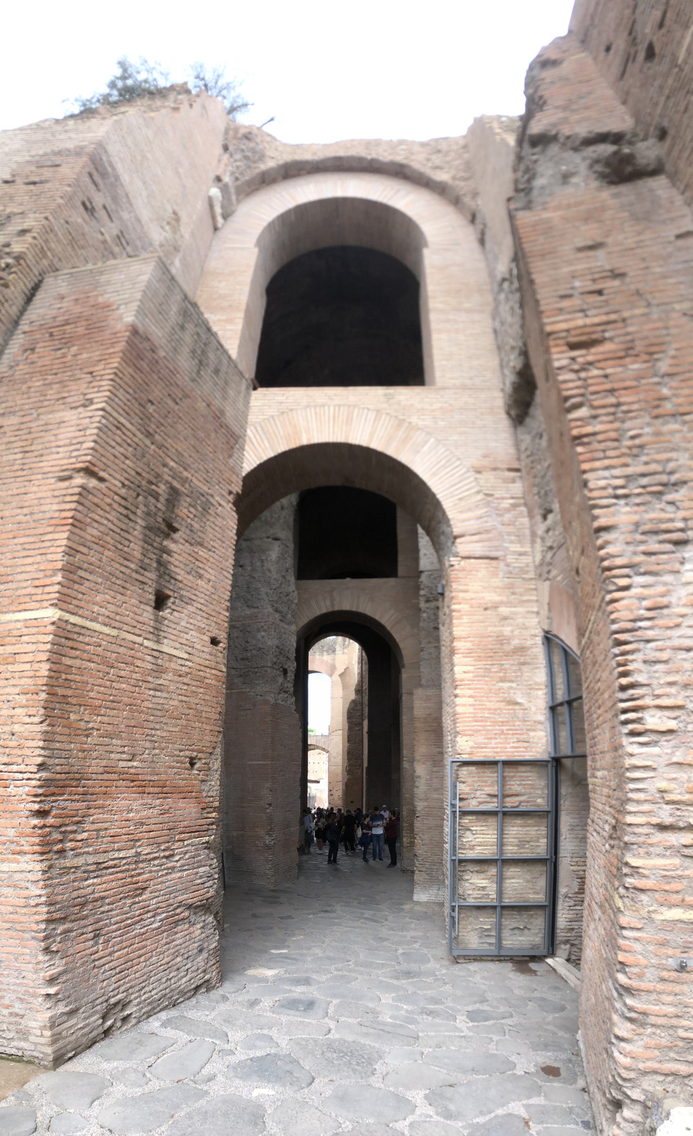 Picture Italy Rome Roman Forum 2024-09 111 - Photographer Roman Forum