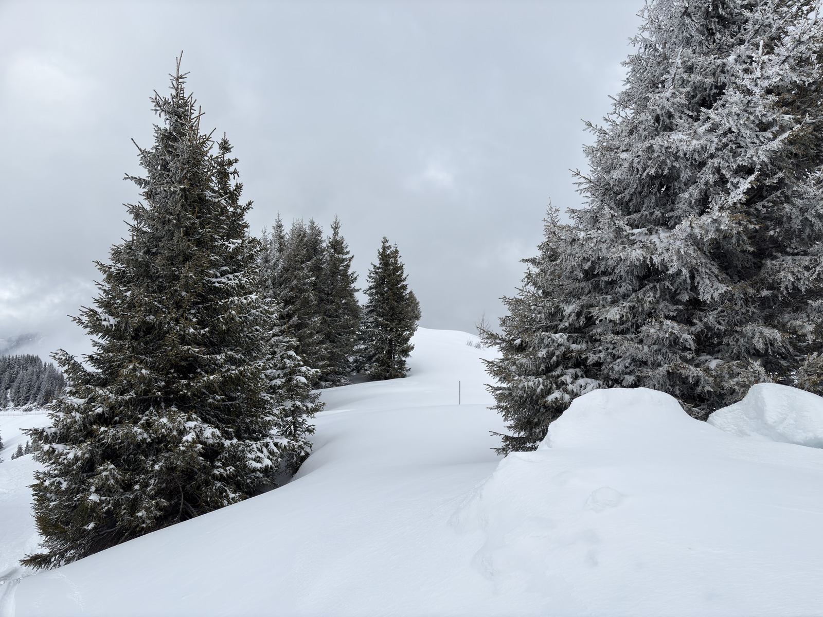Picture France Praz sur Arly 2025-02 71 - Randonee Praz sur Arly