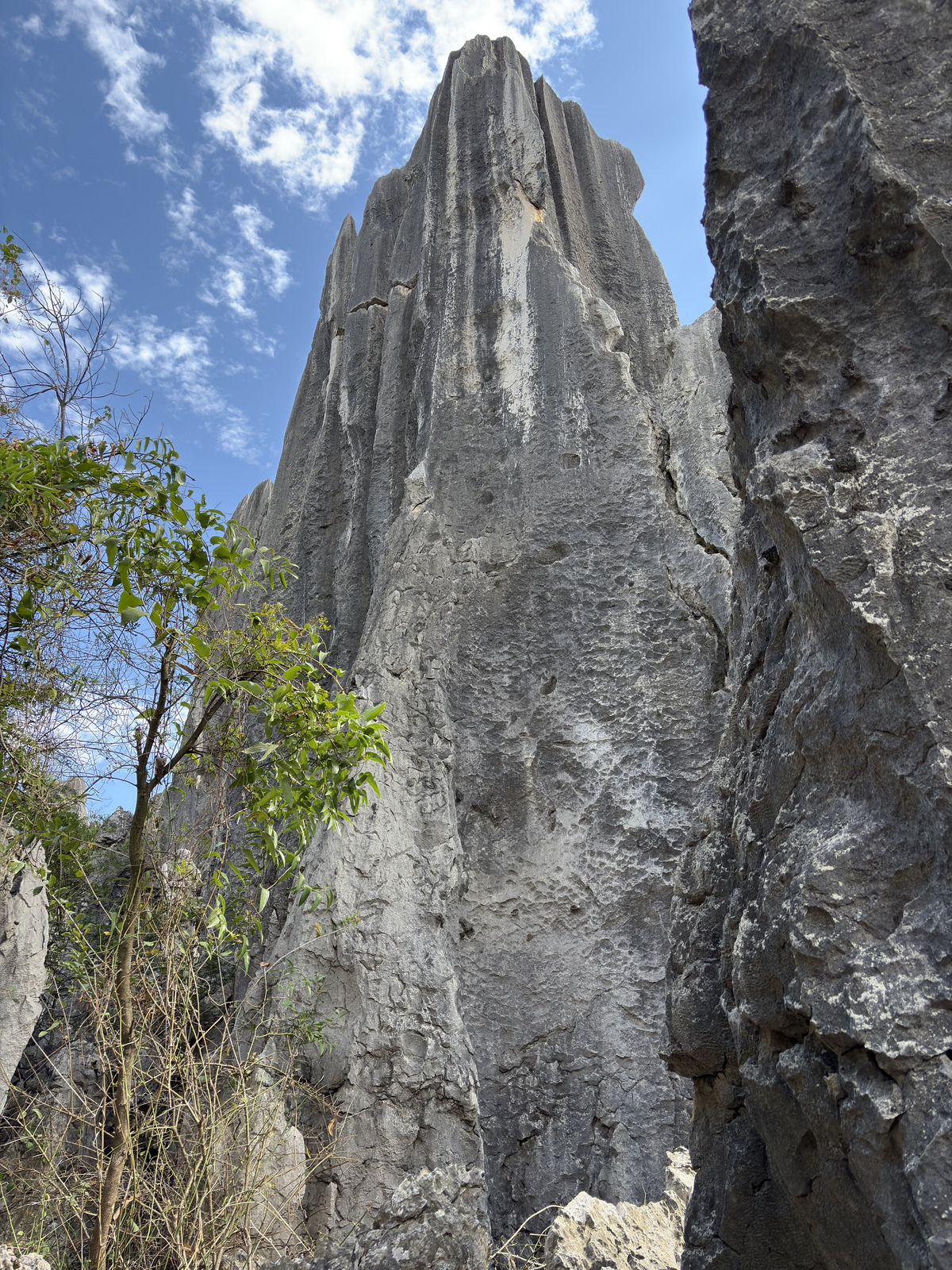 Picture China Shilin Stone Forest 2026-01 335 - Map Shilin Stone Forest