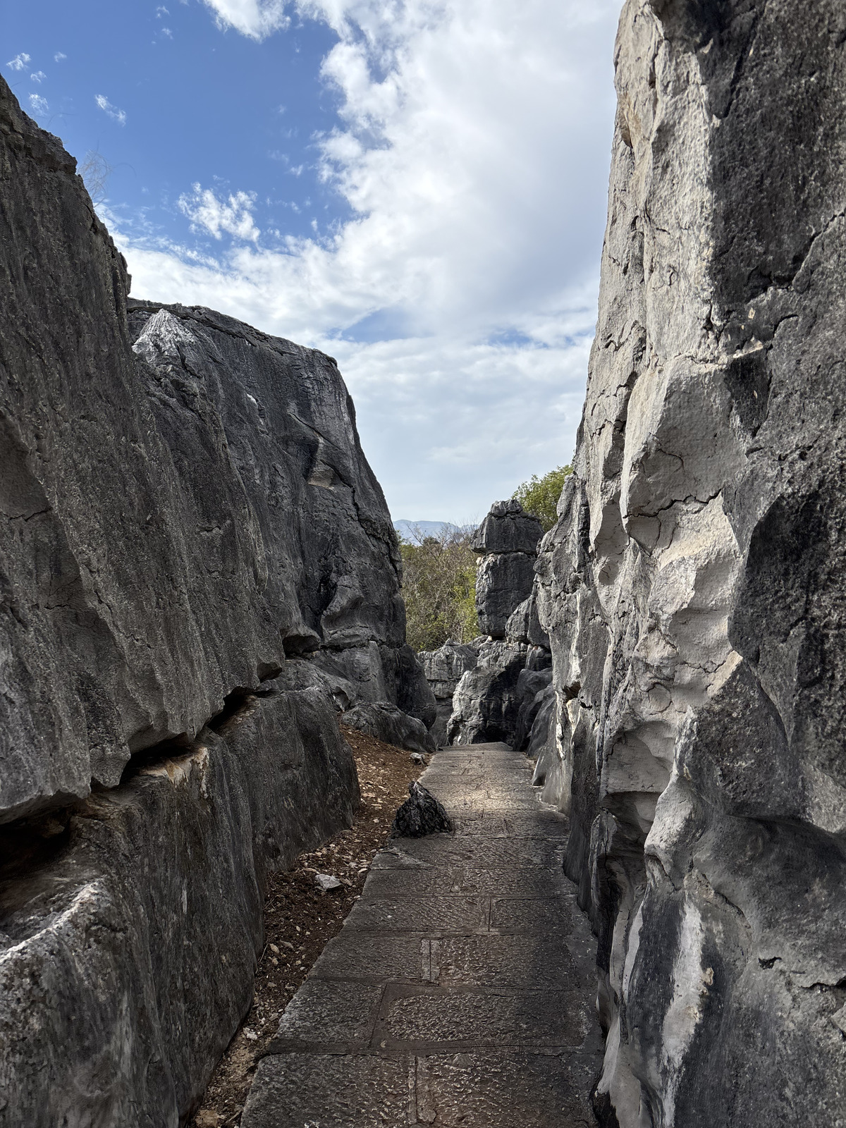 Picture China Shilin Stone Forest 2026-01 247 - Pictures Shilin Stone Forest