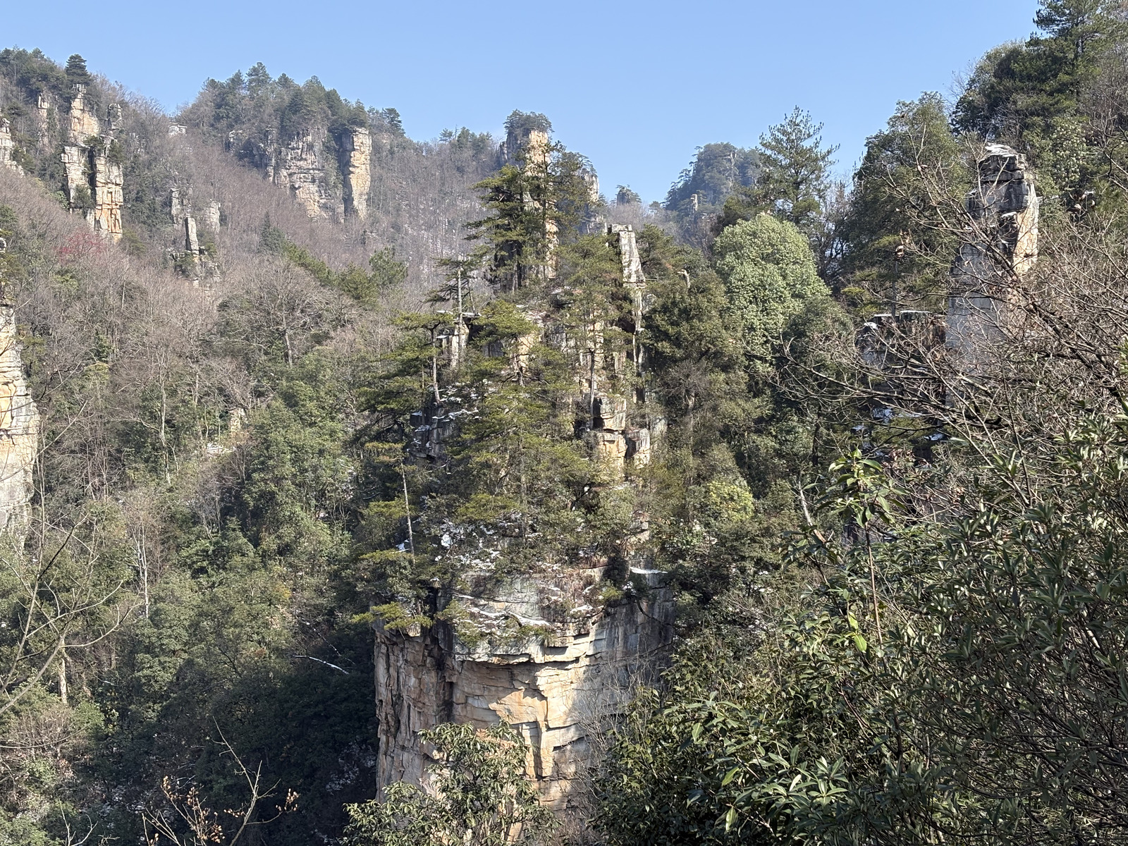 Picture China Zhangjiajie Tianzi Mountrain 2026-01 259 - Photographers Tianzi Mountrain