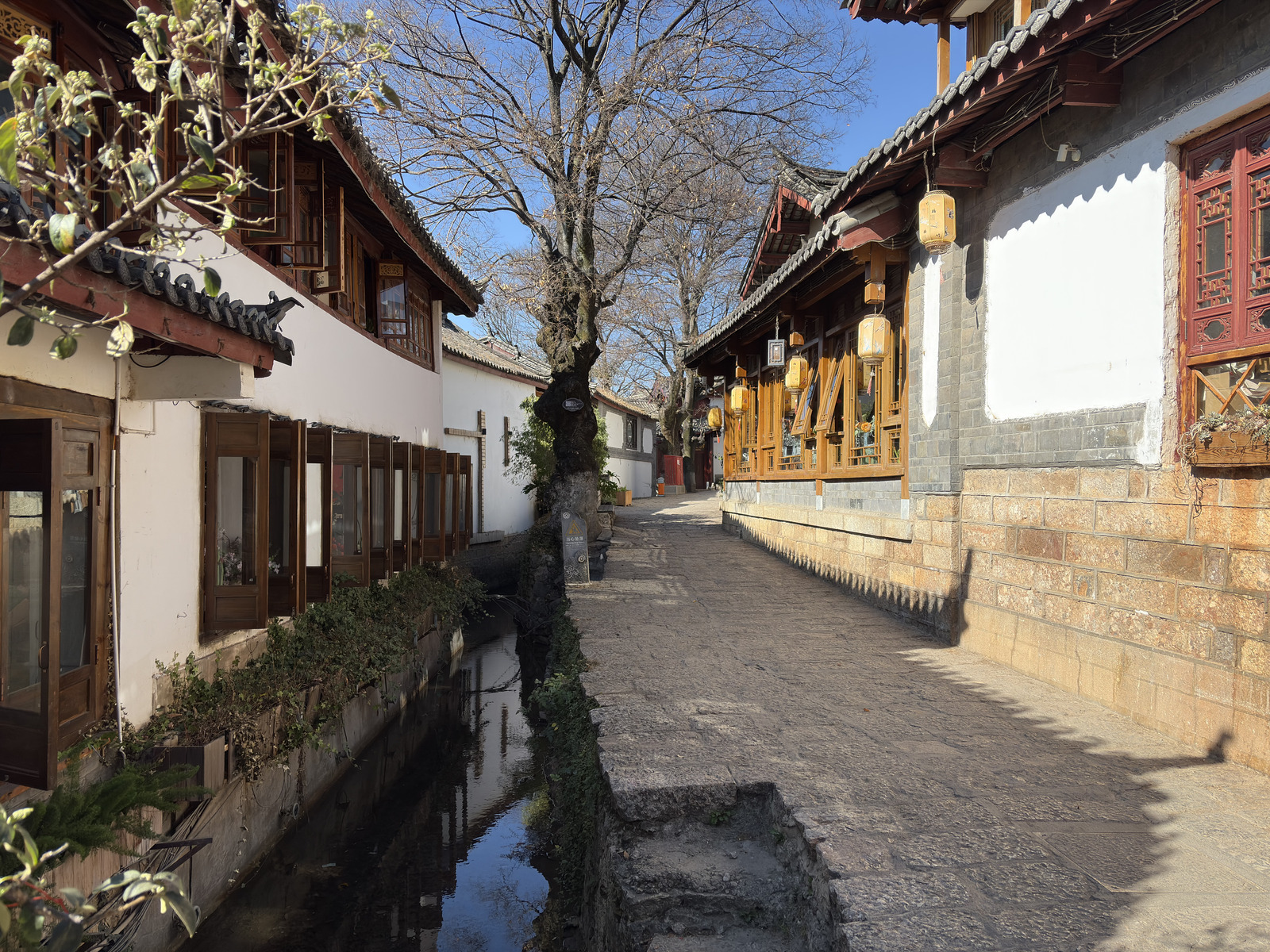 Picture China Lijiang 2026-01 579 - Sightseeing Lijiang