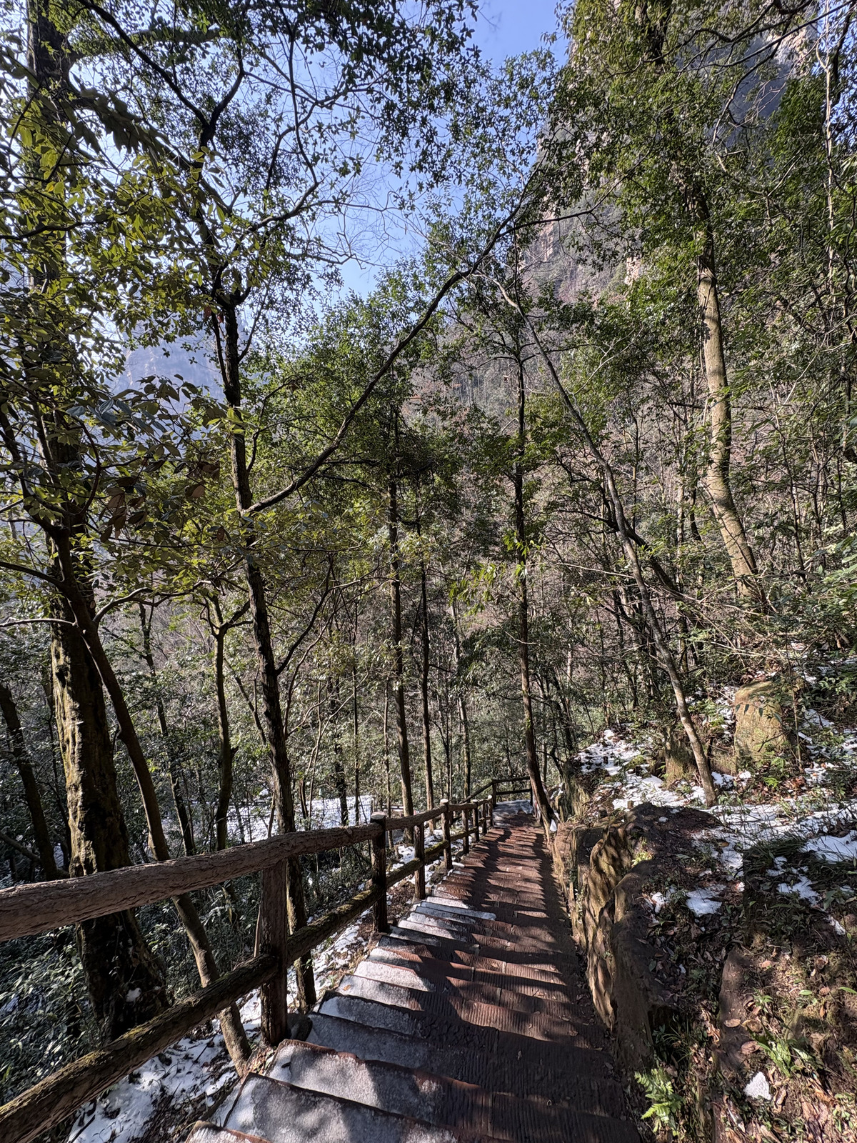 Picture China Zhangjiajie Tianzi Mountrain 2026-01 125 - Sight Tianzi Mountrain