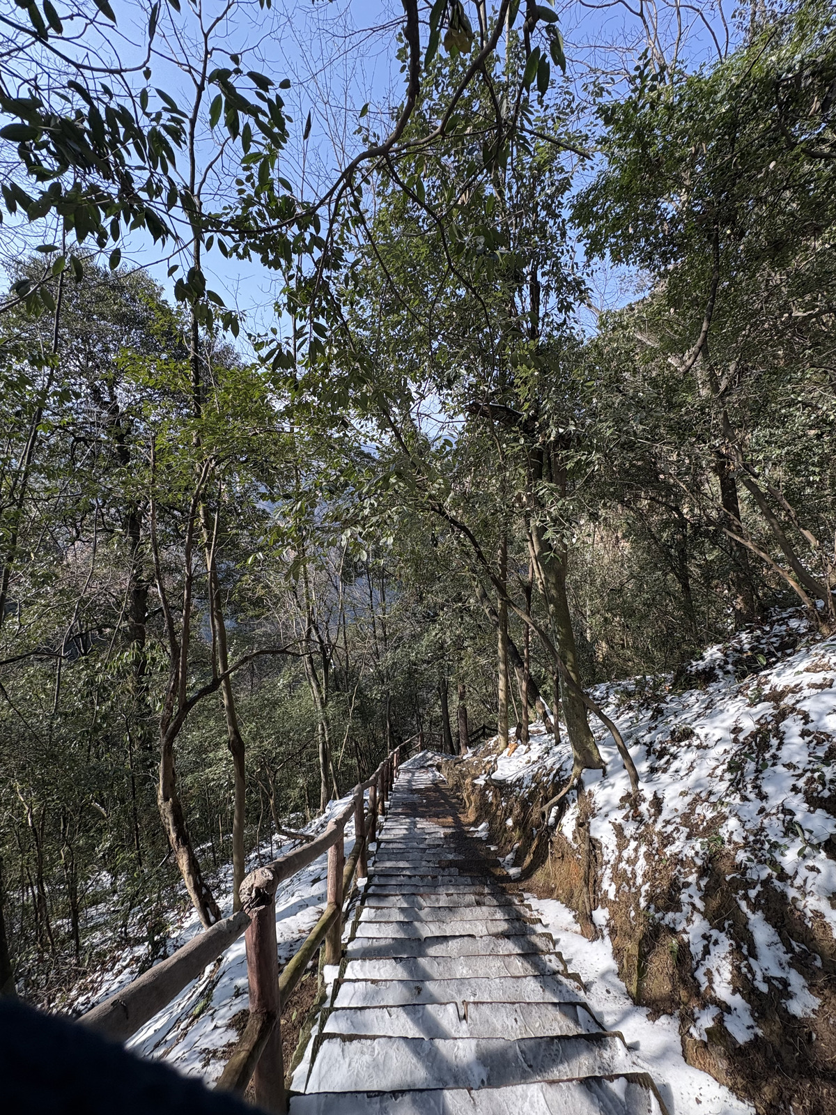Picture China Zhangjiajie Tianzi Mountrain 2026-01 417 - Discover Tianzi Mountrain