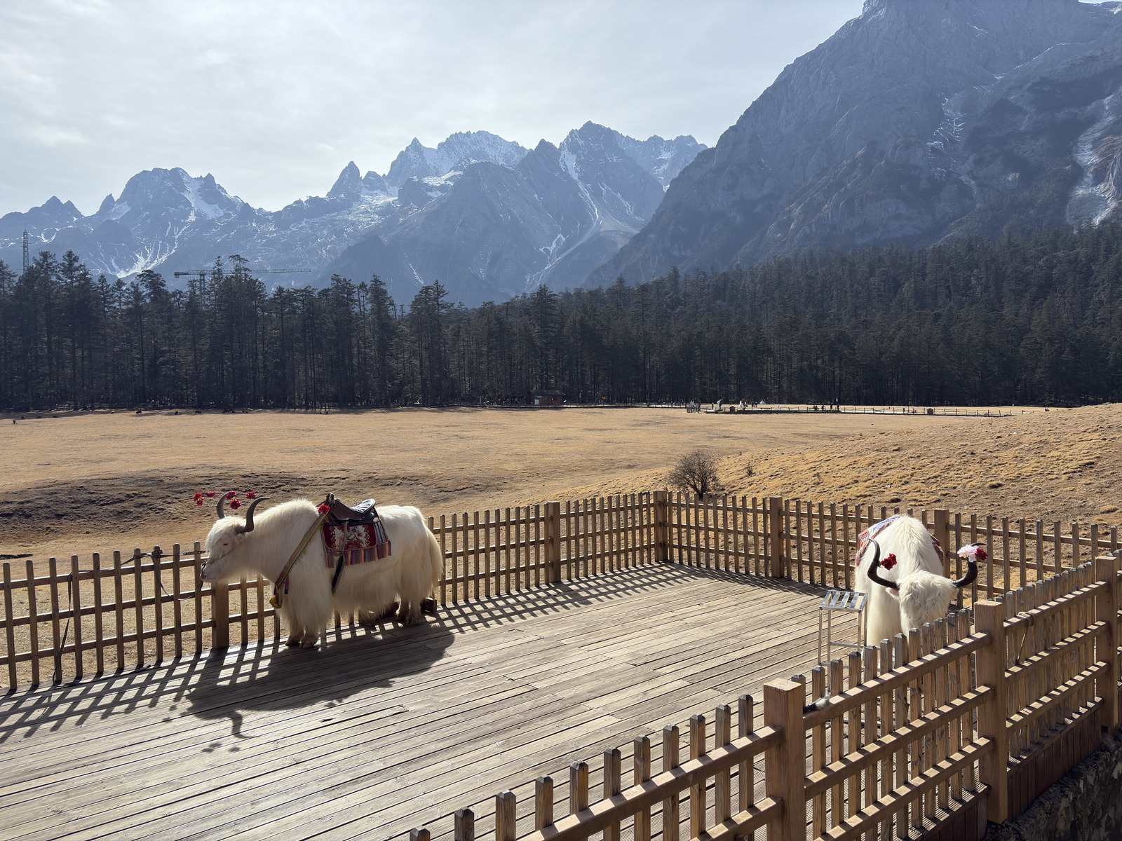 Picture China Lijiang Blue moon valley 2026-01 61 - Trail Blue moon valley