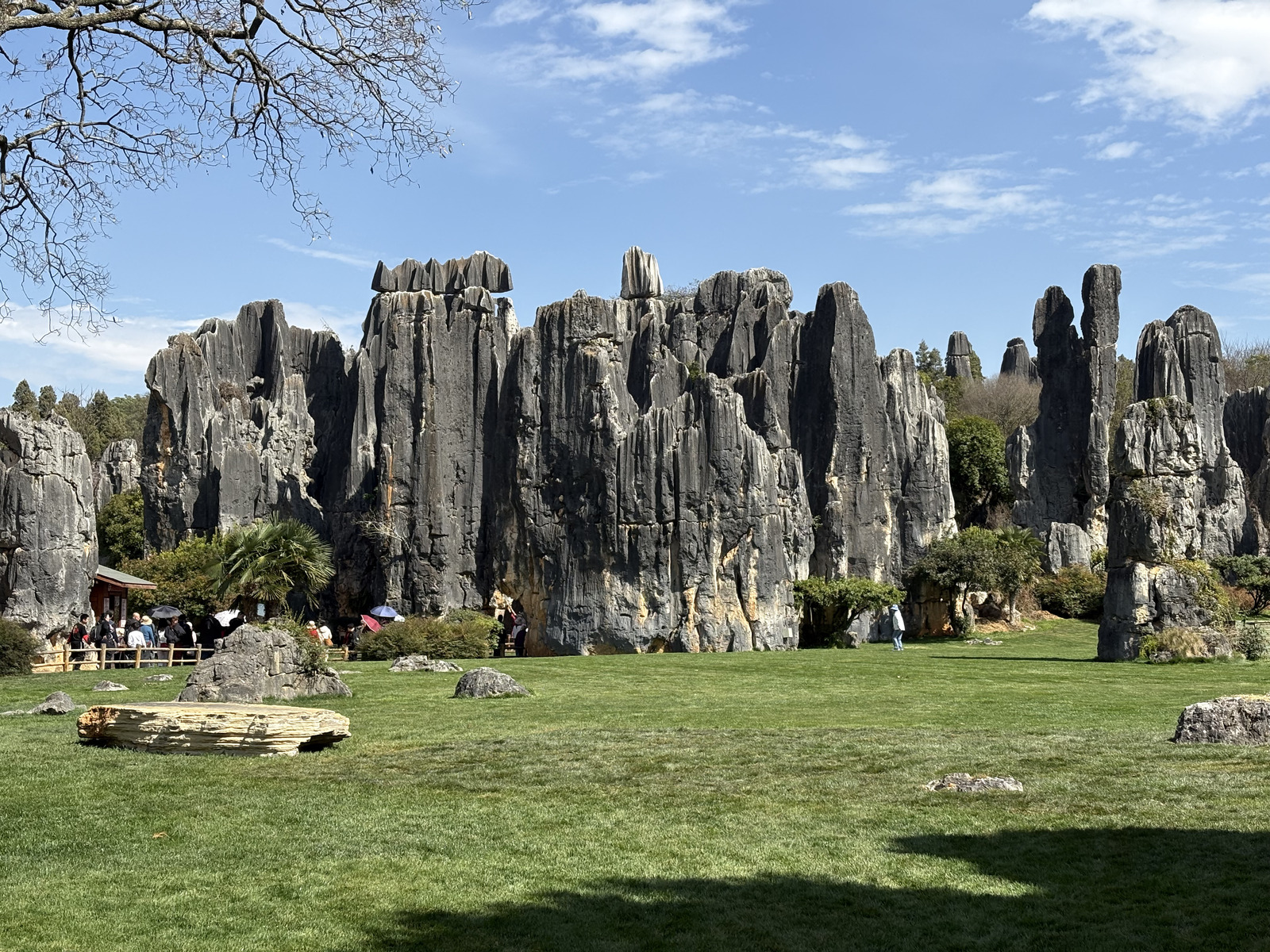 Picture China Shilin Stone Forest 2026-01 75 - Photographers Shilin Stone Forest