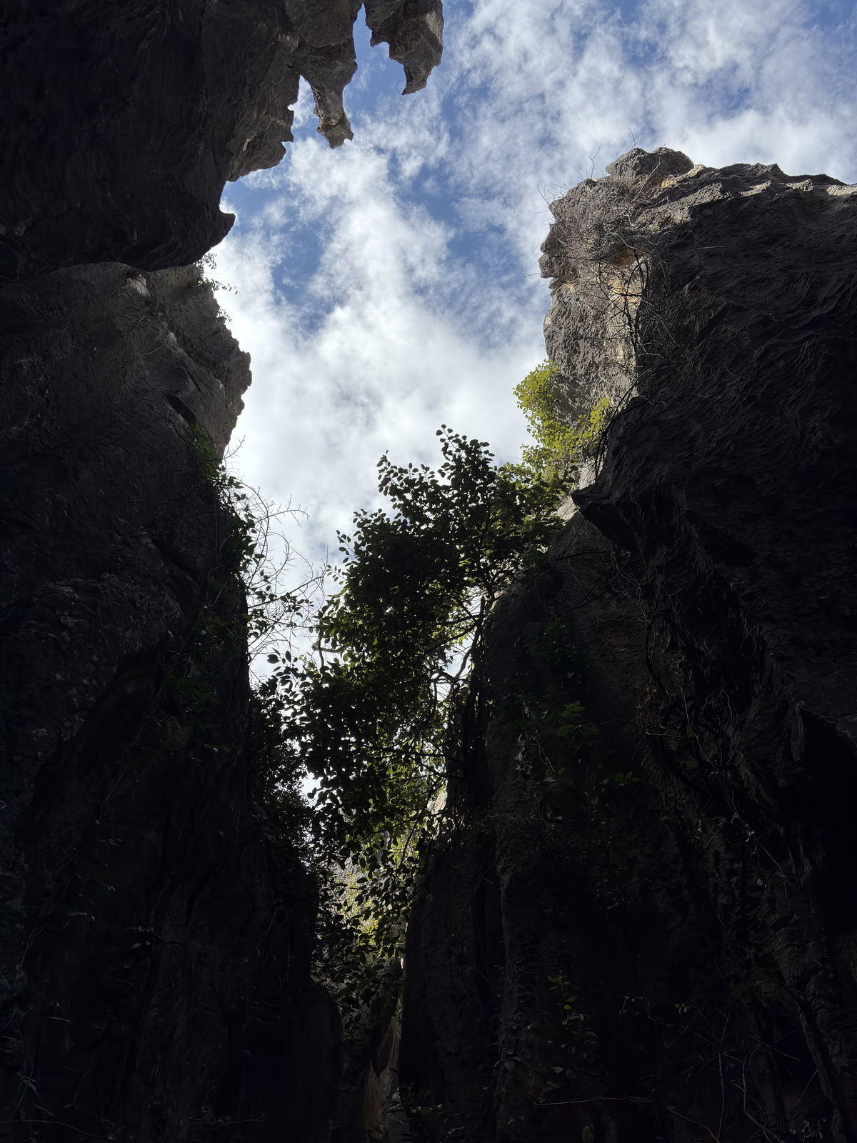 Picture China Shilin Stone Forest 2026-01 243 - Trips Shilin Stone Forest