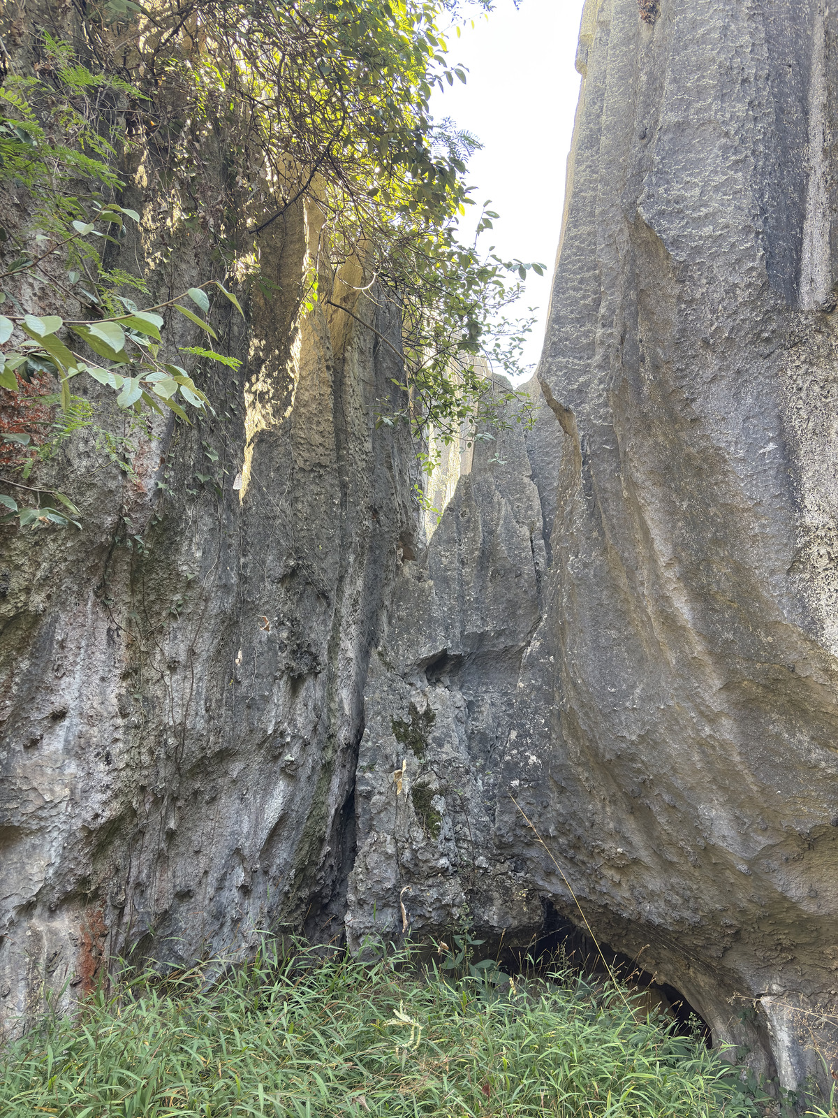 Picture China Shilin Stone Forest 2026-01 360 - View Shilin Stone Forest