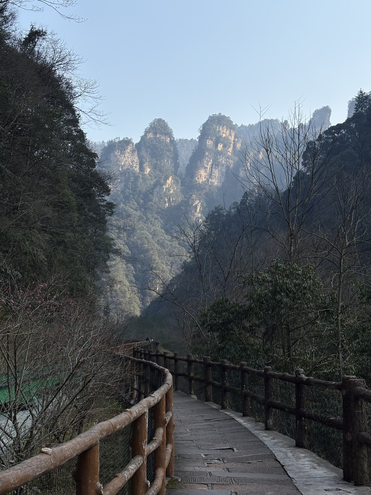 Picture China Zhangjiajie Tianzi Mountrain 2026-01 151 - Perspective Tianzi Mountrain