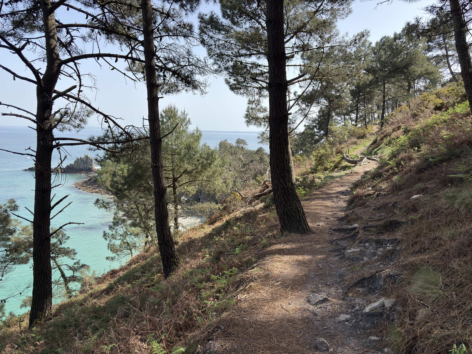 Picture France Crozon Ile Vierge Beach 2026-04 44 - Trip Ile Vierge Beach
