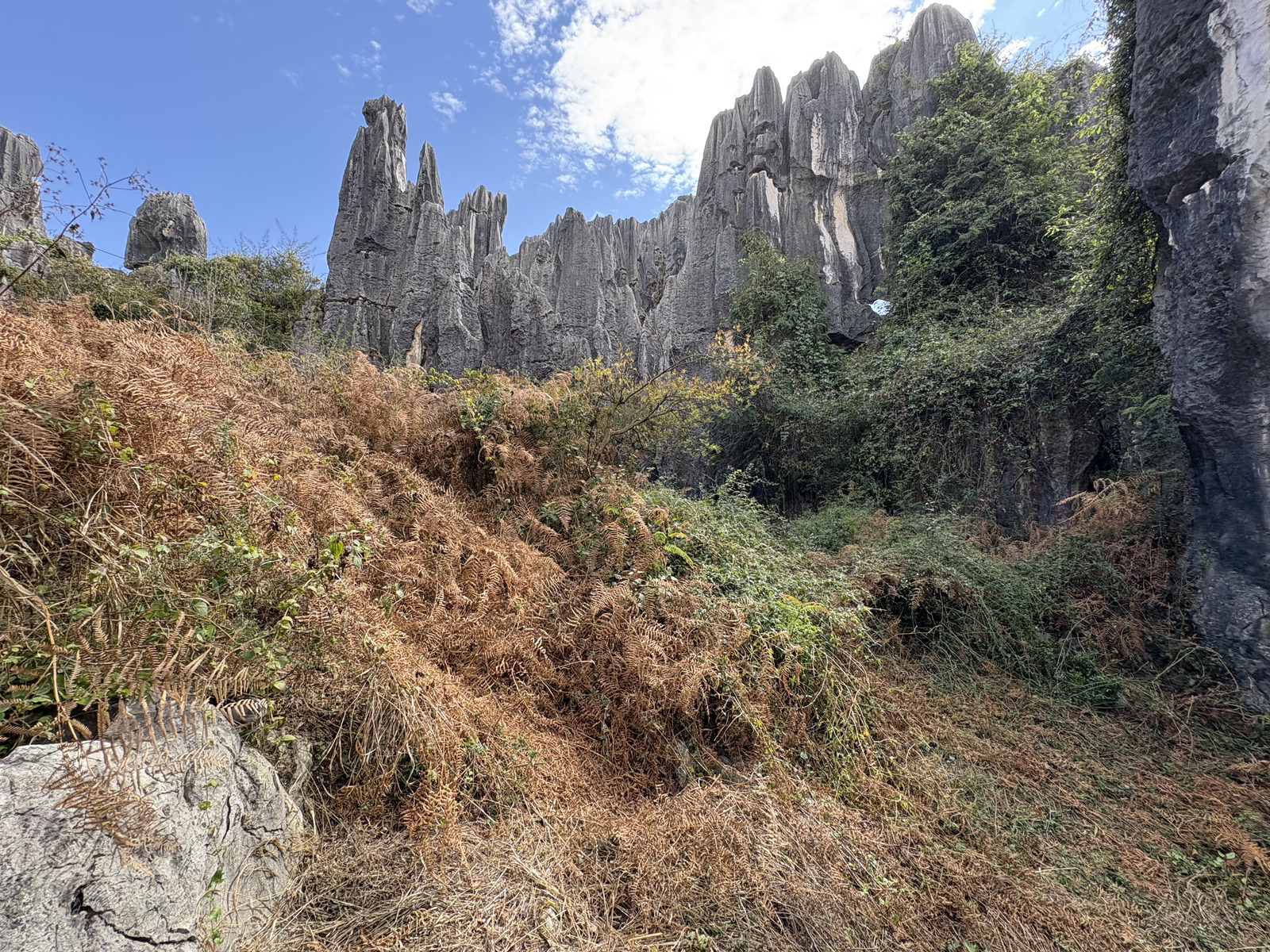 Picture China Shilin Stone Forest 2026-01 240 - Perspective Shilin Stone Forest