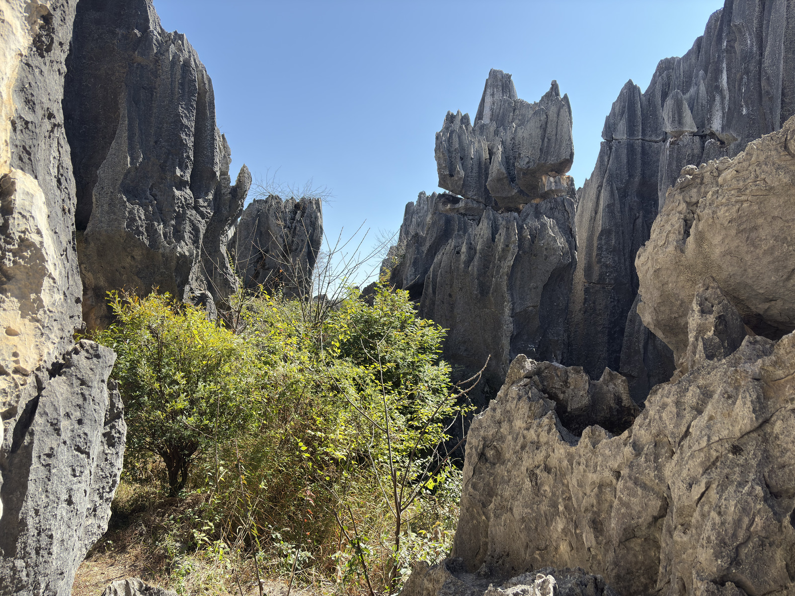 Picture China Shilin Stone Forest 2026-01 35 - Tourist Shilin Stone Forest