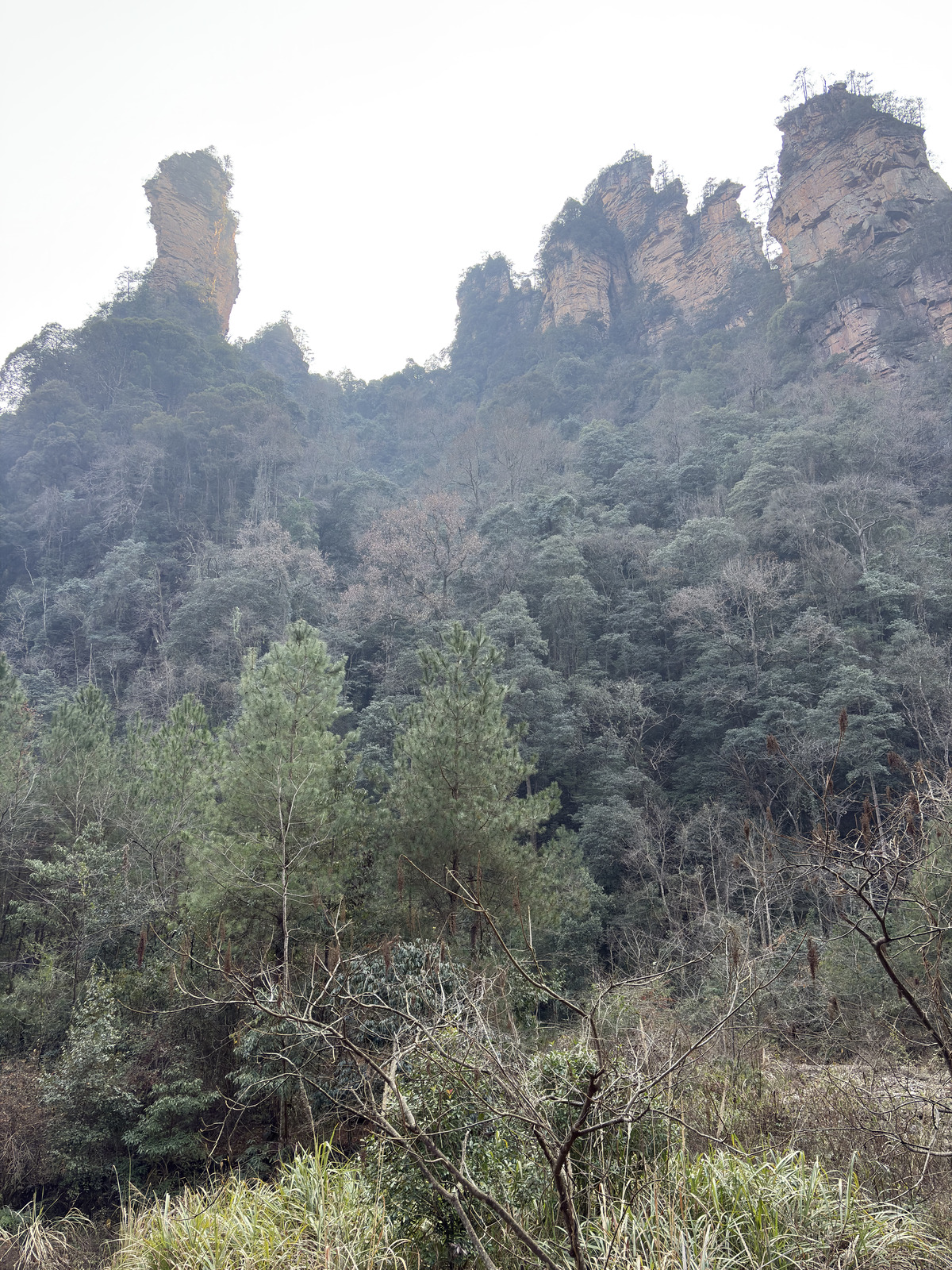 Picture China Zhangjiajie Tianzi Mountrain 2026-01 260 - Store Tianzi Mountrain
