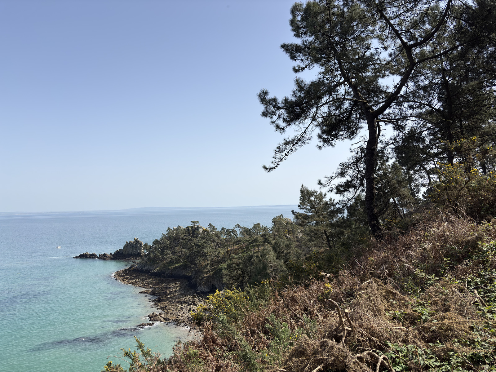 Picture France Crozon Ile Vierge Beach 2026-04 28 - Visit Ile Vierge Beach