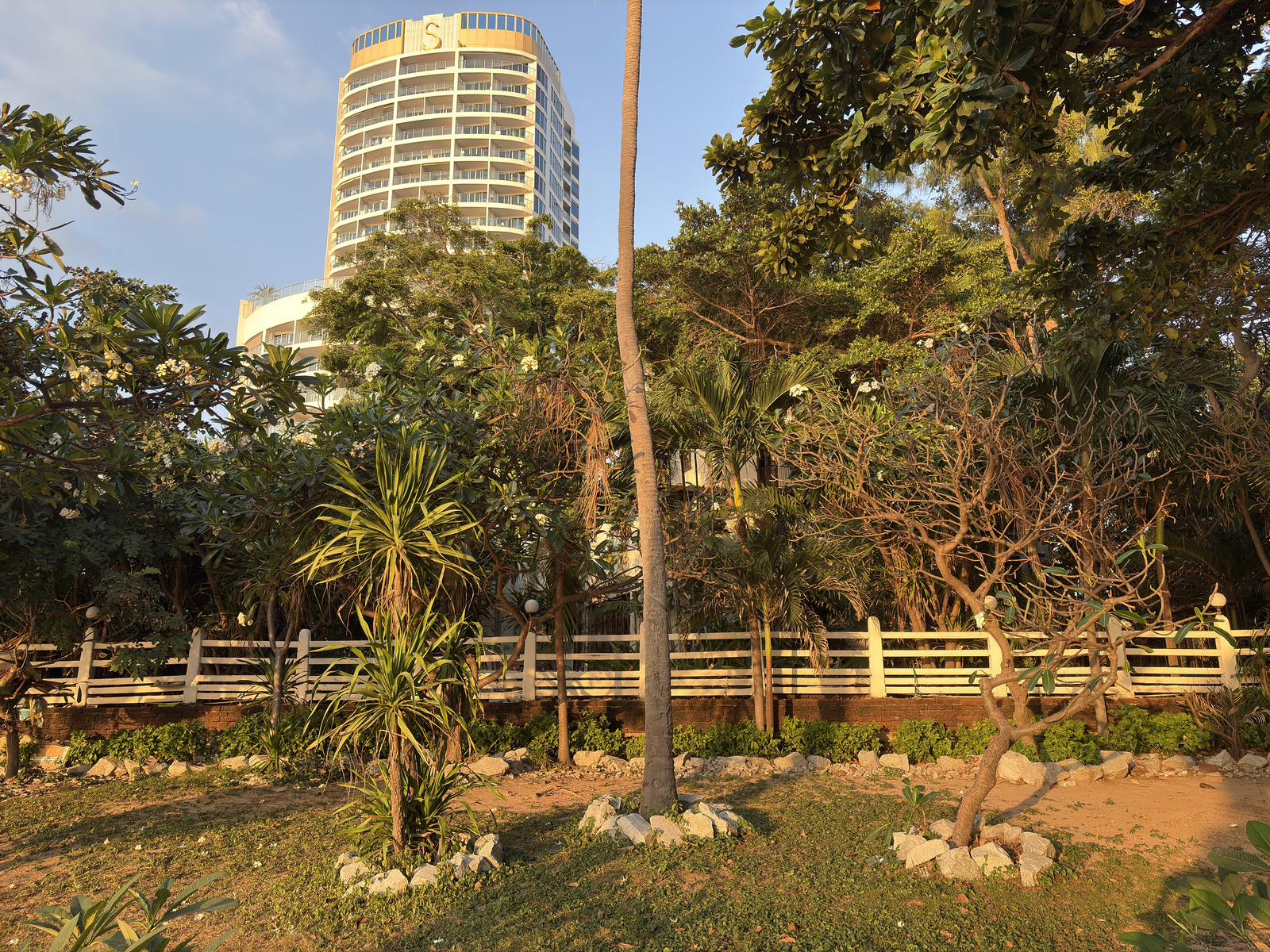 Picture Thailand Pattaya Dongtan beach 2025-12 35 - Flight Dongtan beach