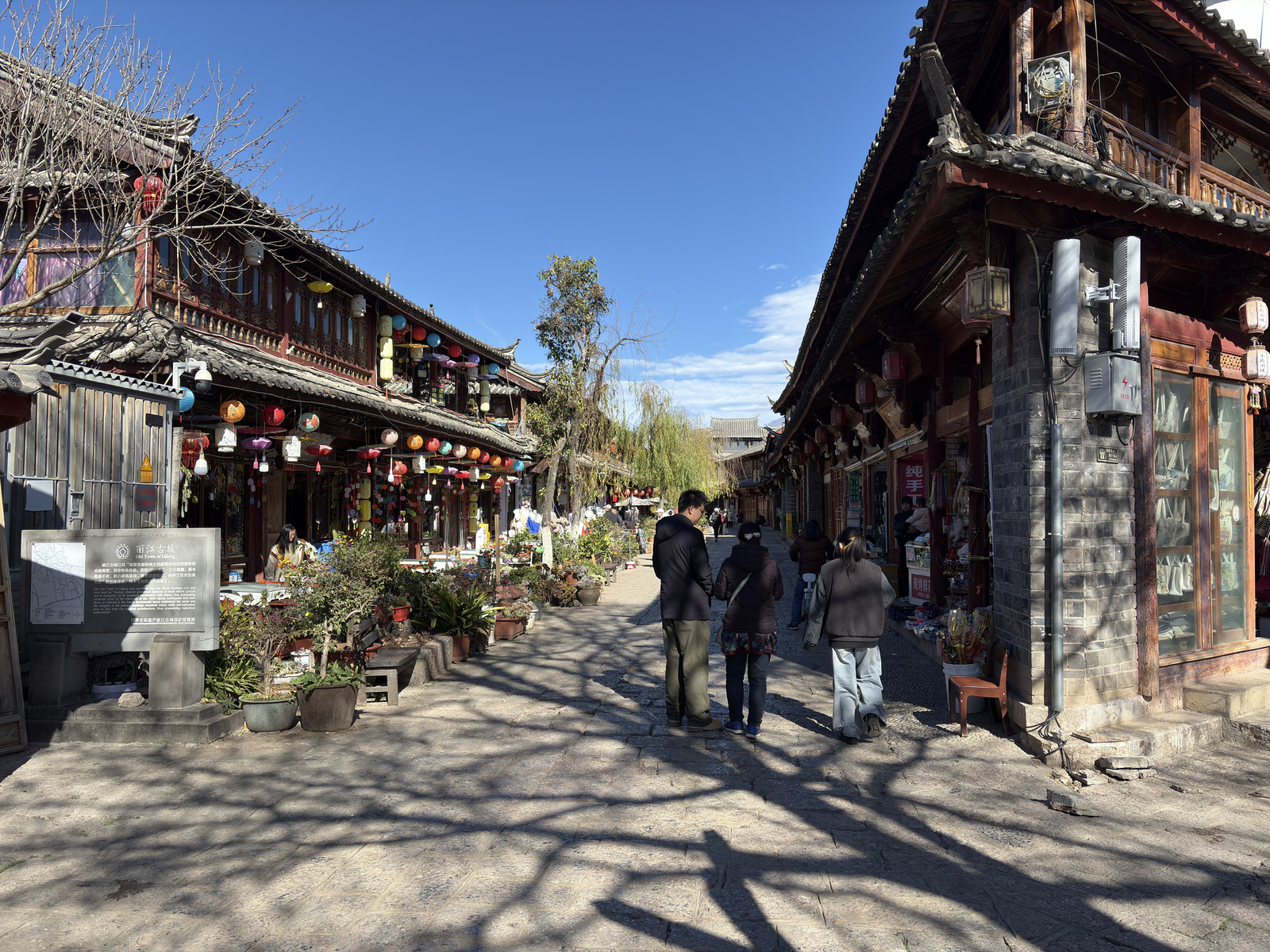 Picture China Lijiang 2026-01 858 - Visit Lijiang