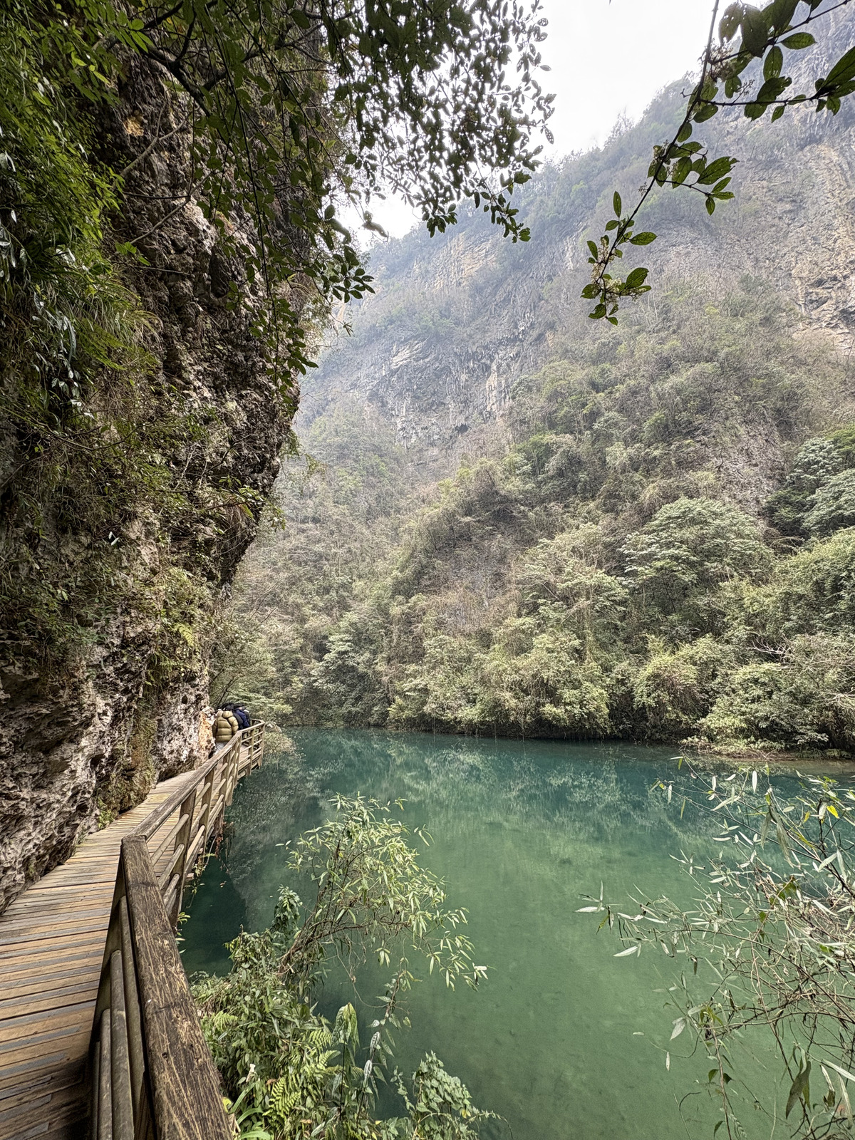 Picture China Zhangjiajie Grand Canion 2026-01 58 - Trip Grand Canion