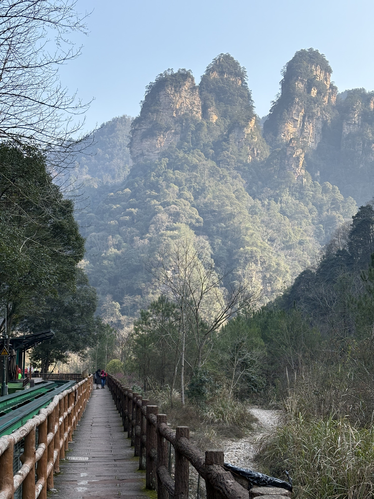 Picture China Zhangjiajie Tianzi Mountrain 2026-01 344 - Views Tianzi Mountrain