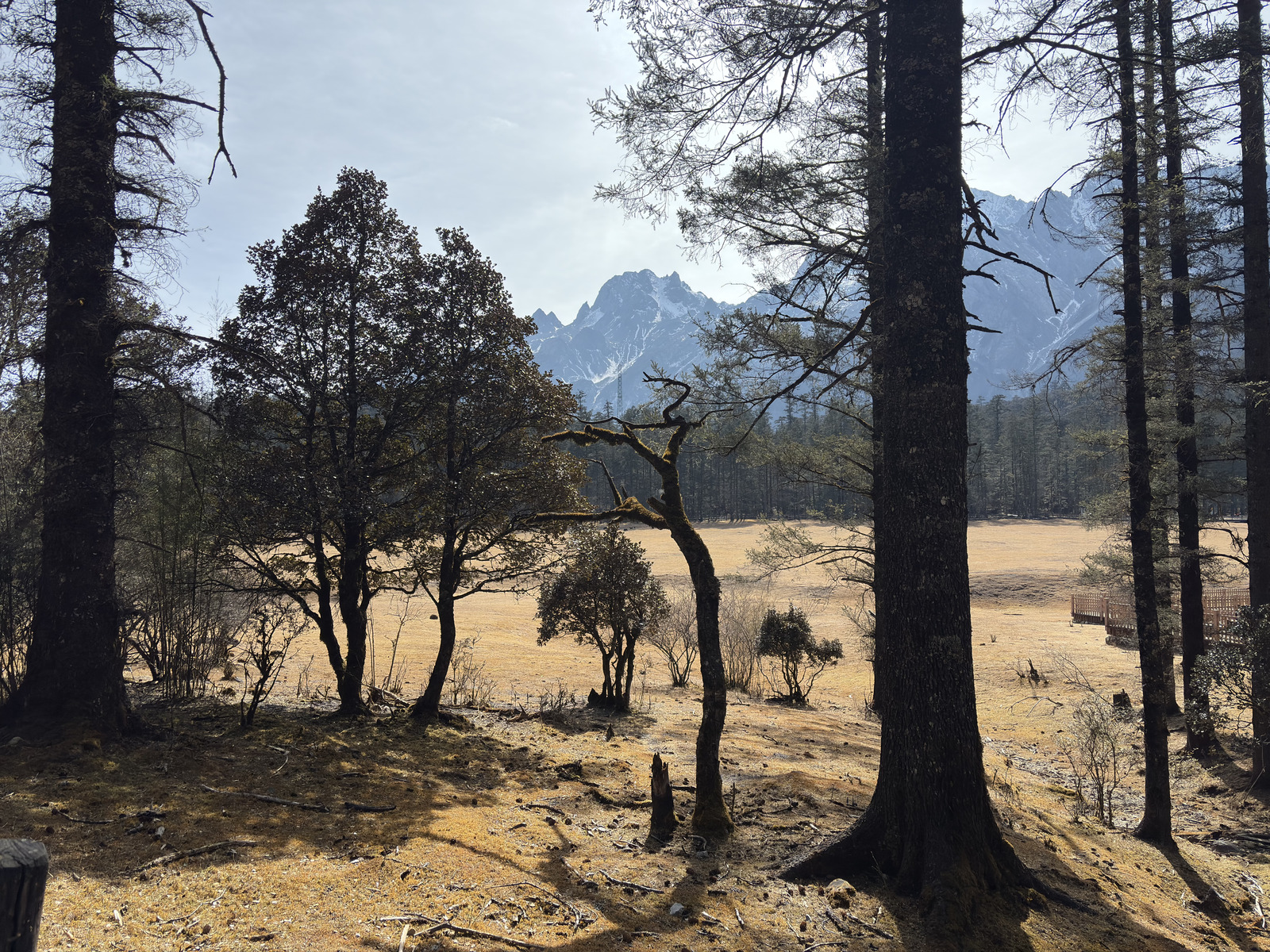 Picture China Lijiang Blue moon valley 2026-01 139 - Discover Blue moon valley