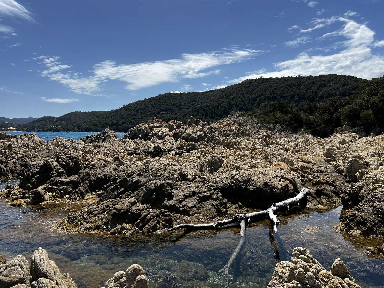 Picture France Corsica Canella Beach 2024-05 6 - Picture Canella Beach