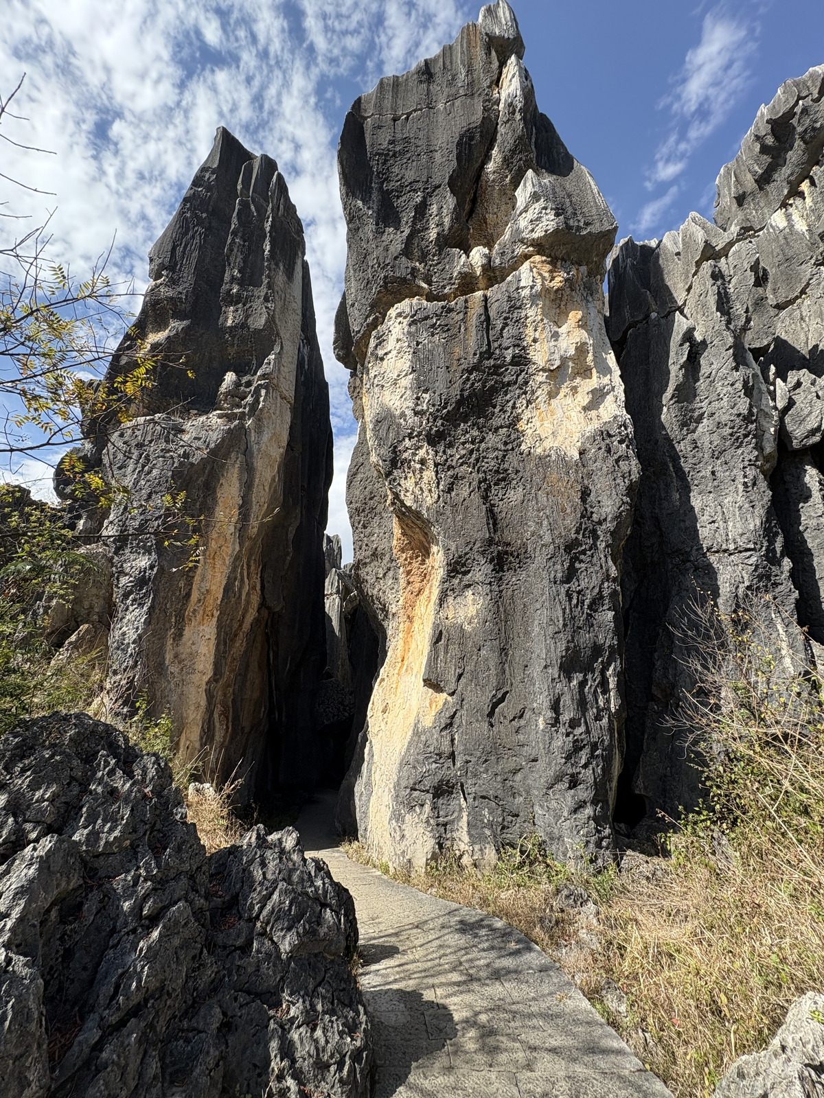 Picture China Shilin Stone Forest 2026-01 216 - Picture Shilin Stone Forest