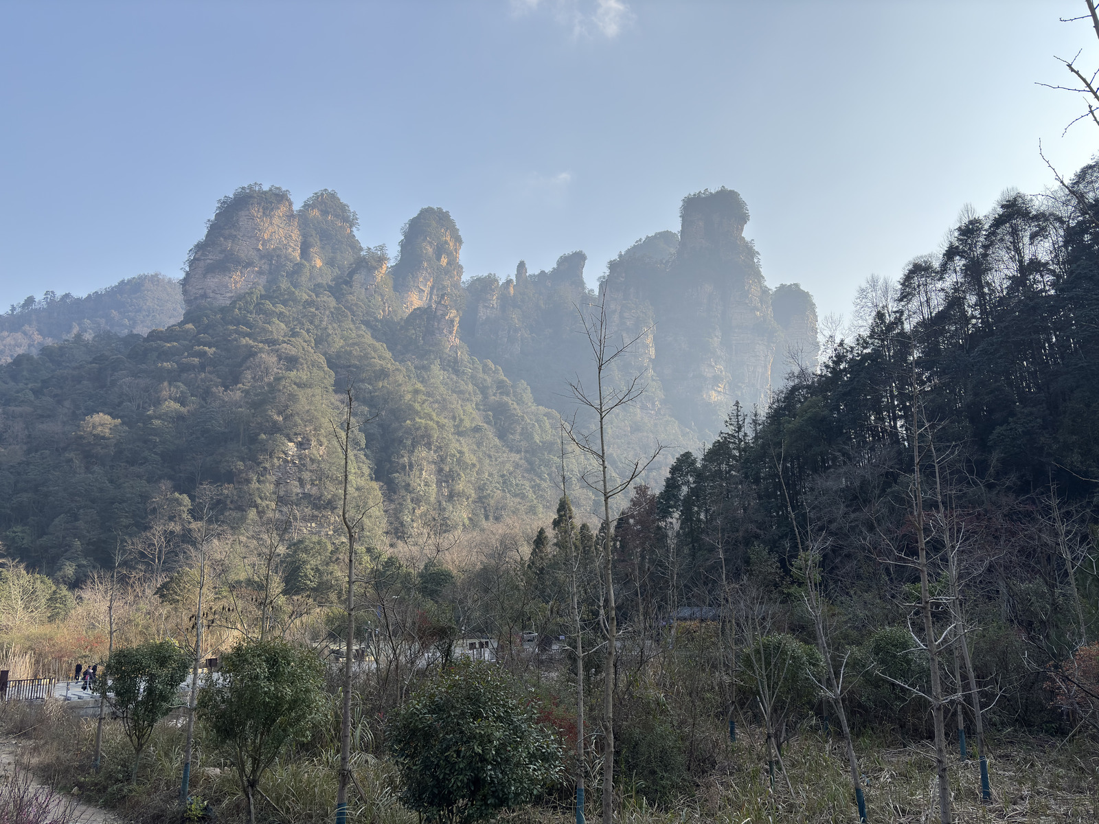 Picture China Zhangjiajie Tianzi Mountrain 2026-01 18 - Picture Tianzi Mountrain