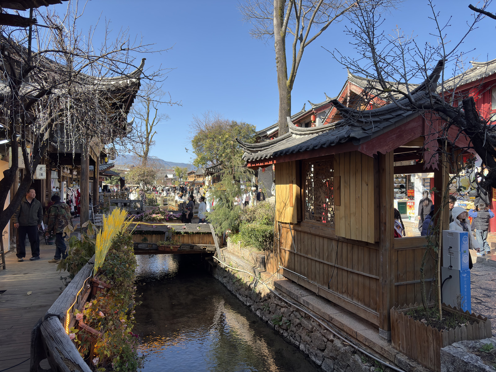 Picture China Lijiang 2026-01 465 - Travels Lijiang