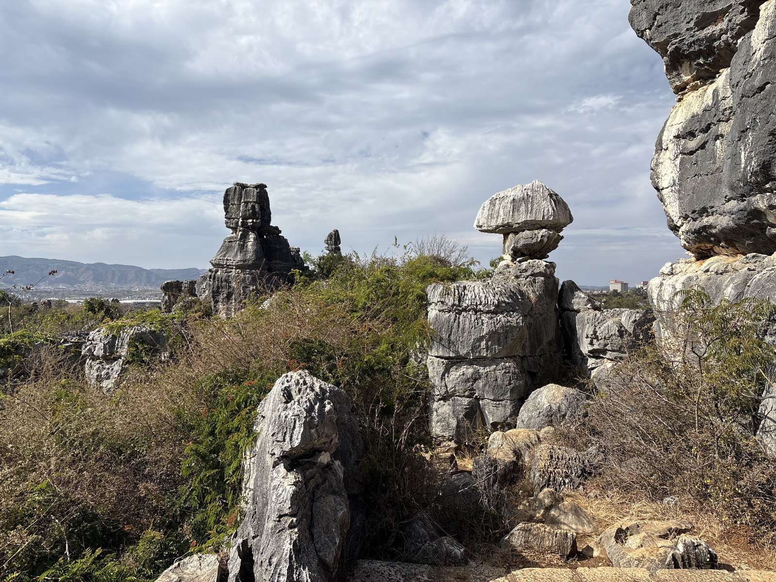 Picture China Shilin Stone Forest 2026-01 236 - Trips Shilin Stone Forest