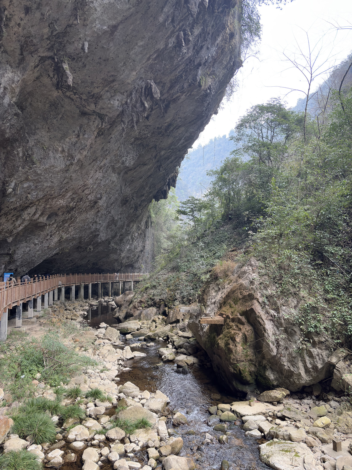 Picture China Zhangjiajie Grand Canion 2026-01 14 - Picture Grand Canion