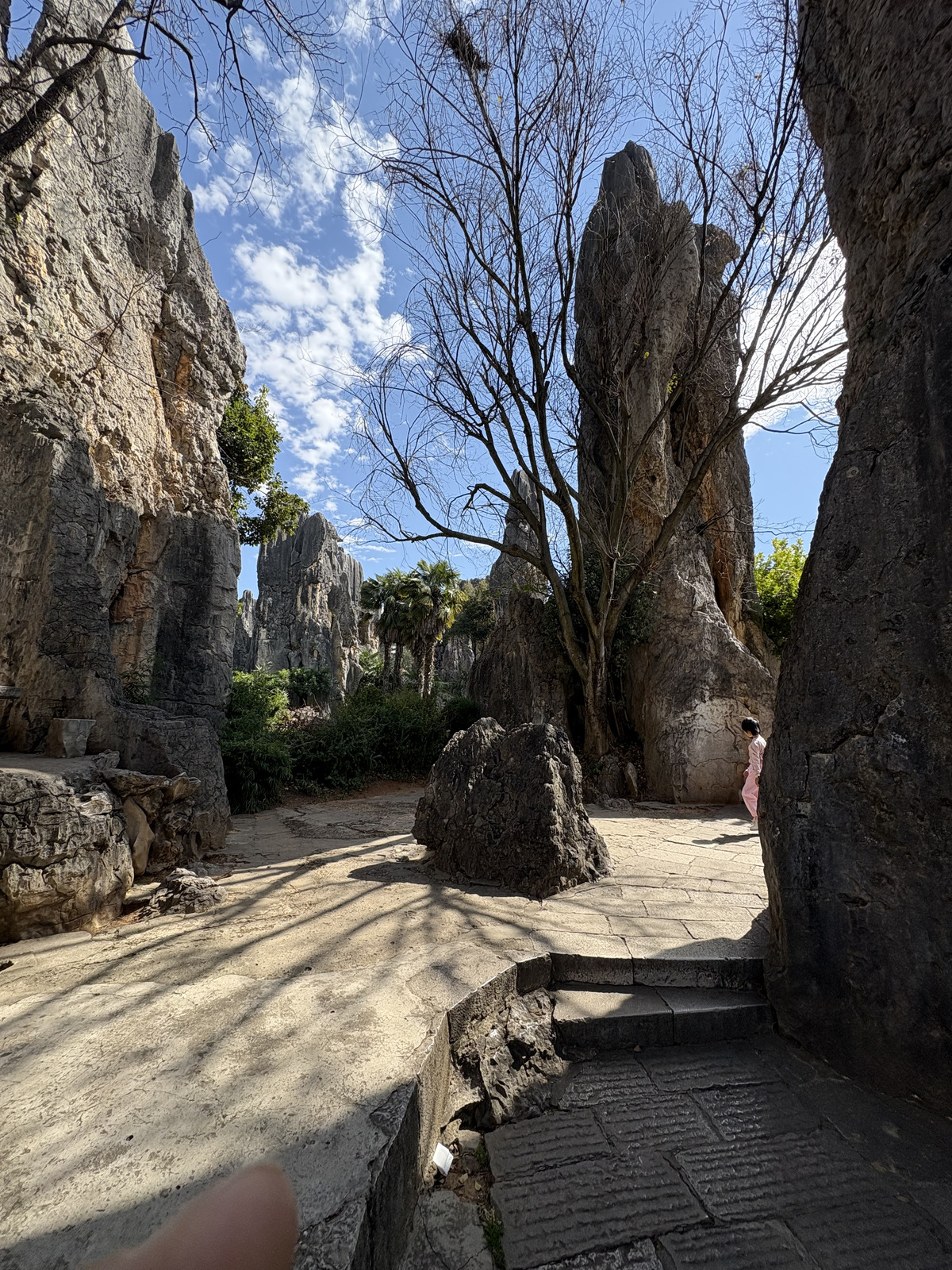 Picture China Shilin Stone Forest 2026-01 90 - Picture Shilin Stone Forest