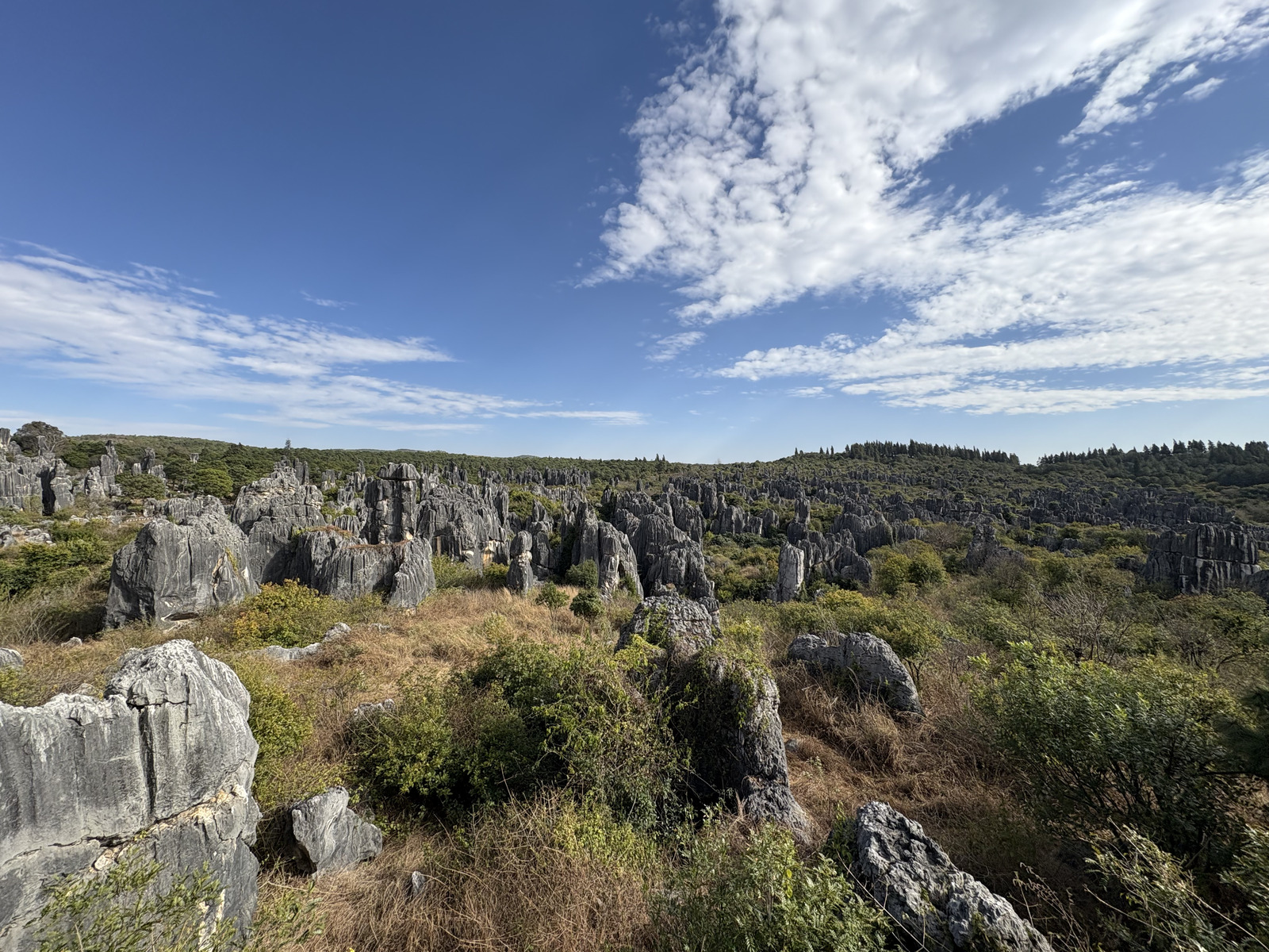 Picture China Shilin Stone Forest 2026-01 387 - Visit Shilin Stone Forest
