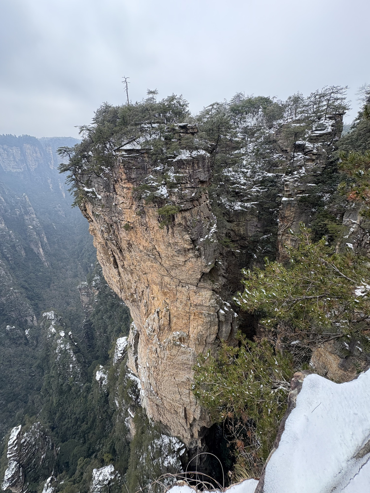 Picture China Zhangjiajie 2026-01 35 - Photos Zhangjiajie