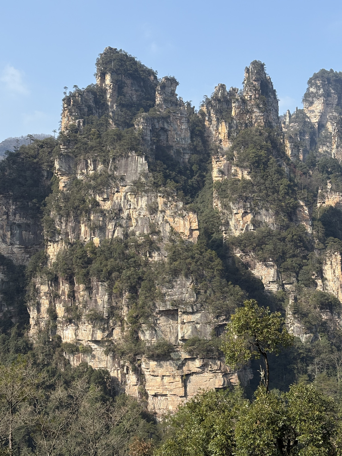 Picture China Zhangjiajie Tianzi Mountrain 2026-01 441 - Photographers Tianzi Mountrain