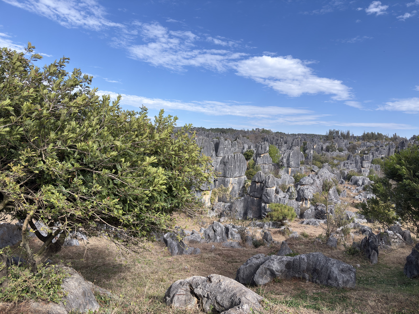 Picture China Shilin Stone Forest 2026-01 39 - Car Shilin Stone Forest