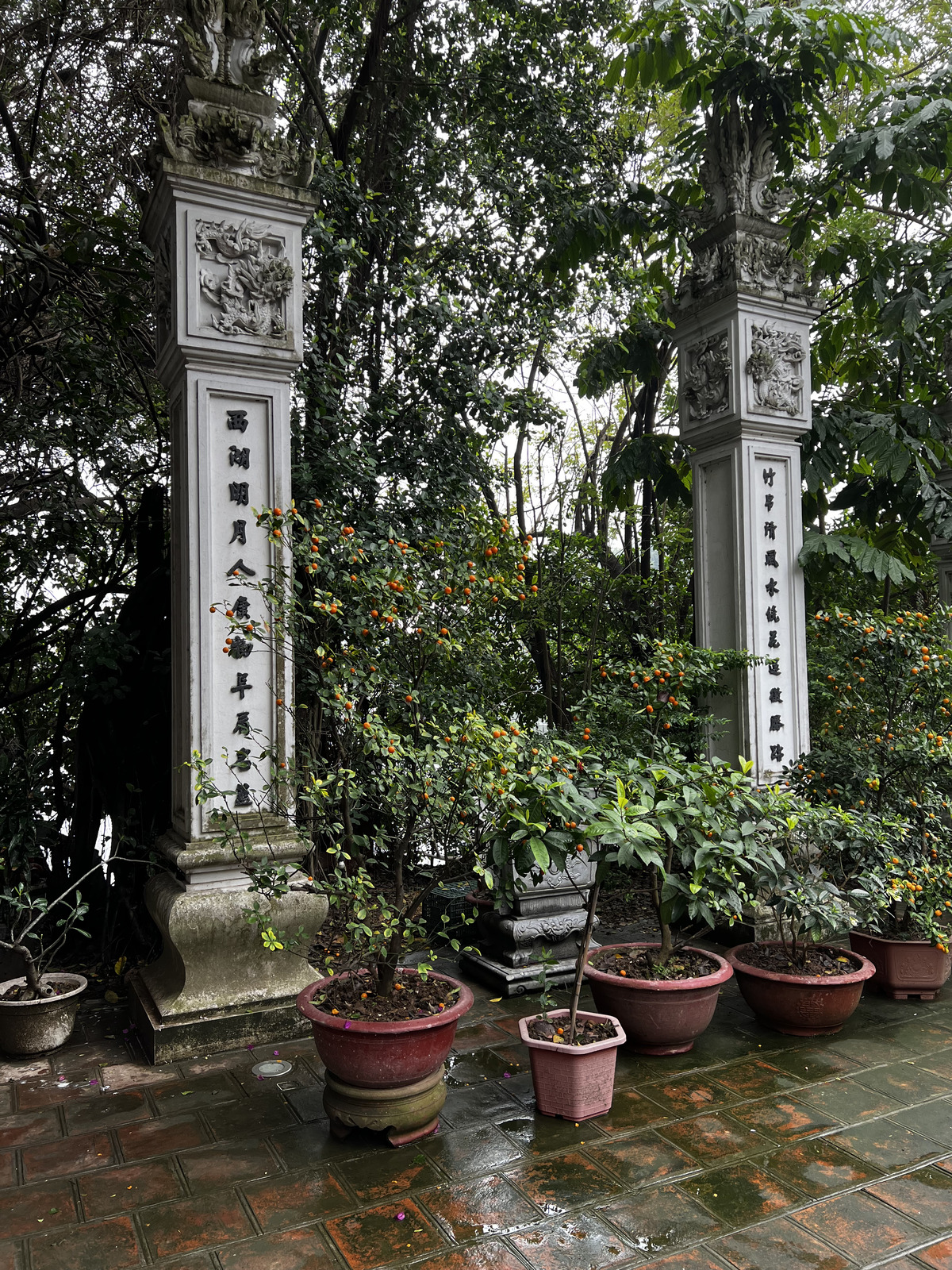 Picture Vietnam Hanoi Tay Lake 2024-01 28 - Randonee Tay Lake