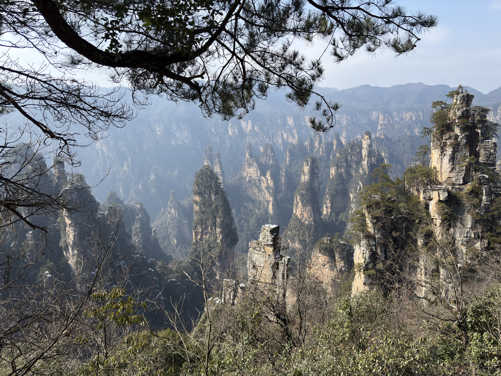 Picture China Zhangjiajie Tianzi Mountrain 2026-01 10 - Pictures Tianzi Mountrain