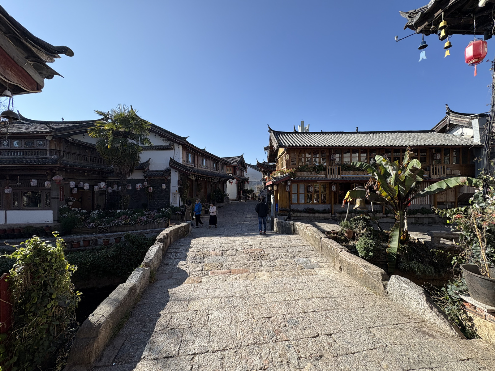 Picture China Lijiang 2026-01 418 - Photographer Lijiang
