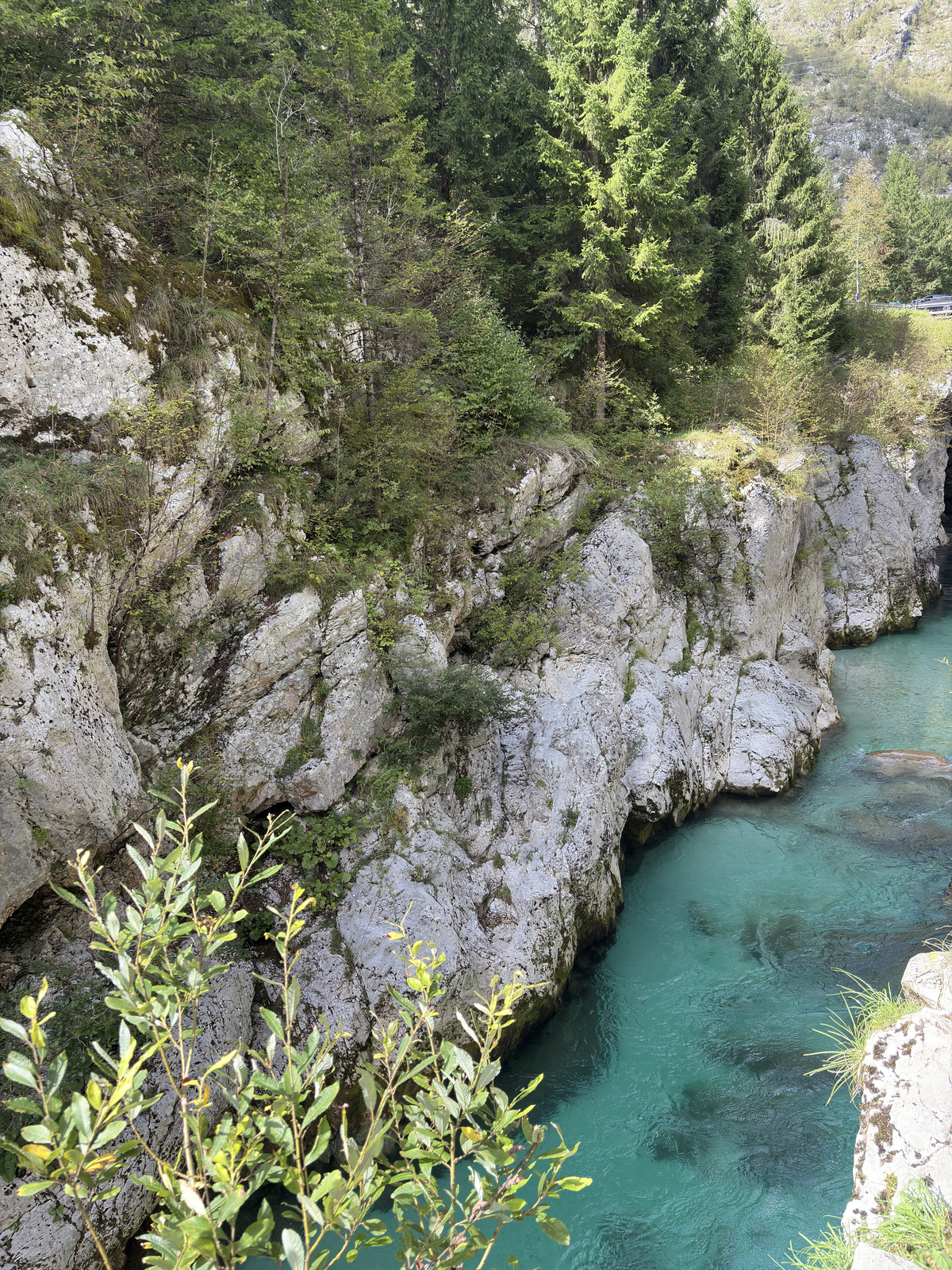 Picture Slovenia Soca River 2025-09 149 - Pictures Soca River