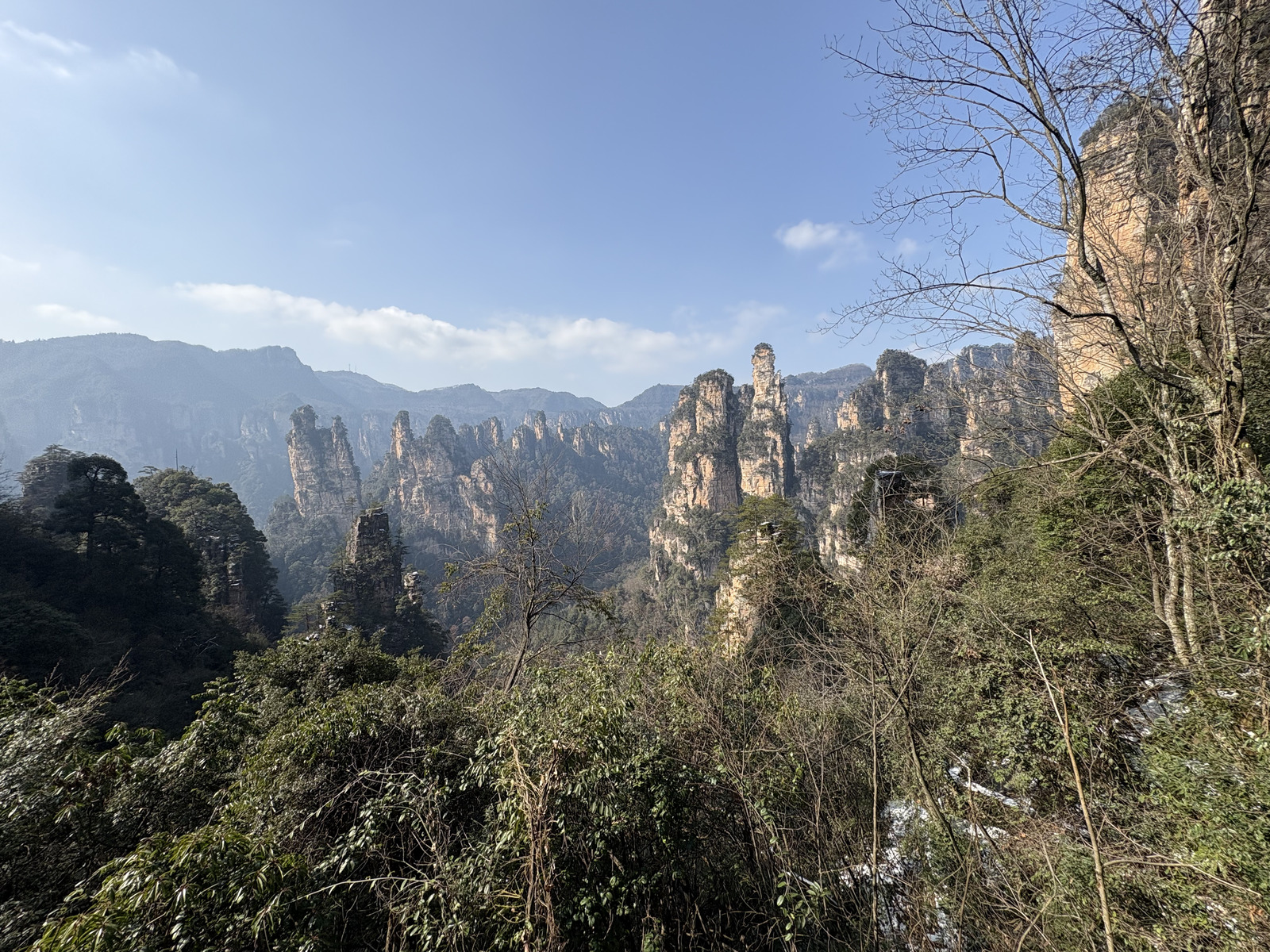 Picture China Zhangjiajie Tianzi Mountrain 2026-01 420 - Picture Tianzi Mountrain