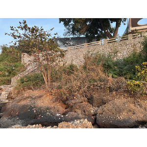 Picture Thailand Pattaya 2024-12 2 - Photos Pattaya