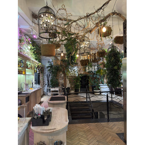 Picture Ukraine Lviv Restaurants 2024-10 119 - Pictures Restaurants