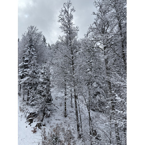 Picture France Praz sur Arly 2025-02 107 - Photographers Praz sur Arly