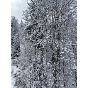 Picture France Praz sur Arly 2025-02 82 - Perspective Praz sur Arly