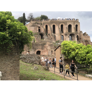 Picture Italy Rome Roman Forum 2024-09 30 - Views Roman Forum