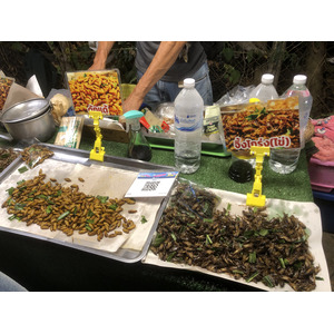 Picture Thailand Chiang Mai Nong Buak Haad Public Park 2024-01 55 - Store Nong Buak Haad Public Park