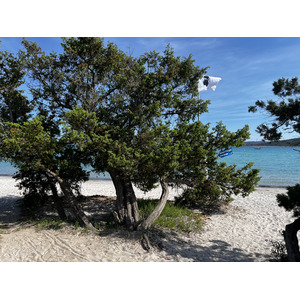 Picture France Corsica San Cyprien Bay 2024-05 3 - Pictures San Cyprien Bay