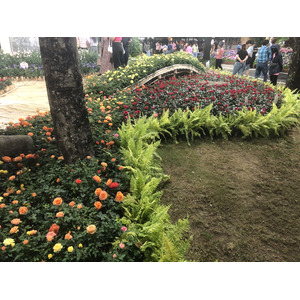 Picture Thailand Chiang Mai Nong Buak Haad Public Park 2024-01 8 - View Nong Buak Haad Public Park